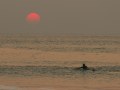 SURF FILM NACHT - AFRICAN TERRITORY - Part 2